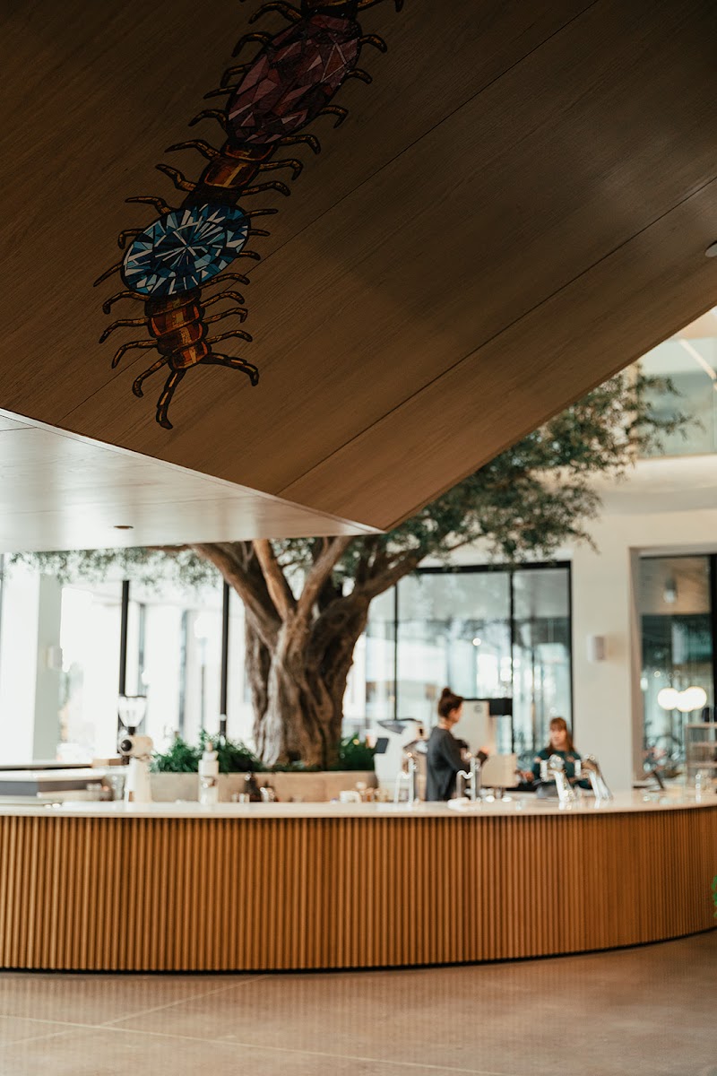 Airship Coffee at The Ledger Interior Photo - Airship Coffee at The Ledger Cafe in Bentonville, AR