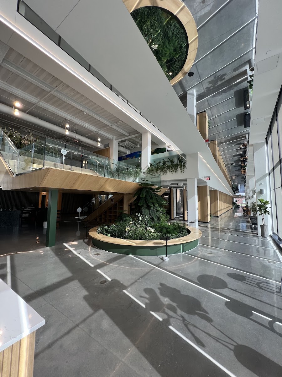 Airship Coffee at The Ledger Interior Photo - Airship Coffee at The Ledger Cafe in Bentonville, AR