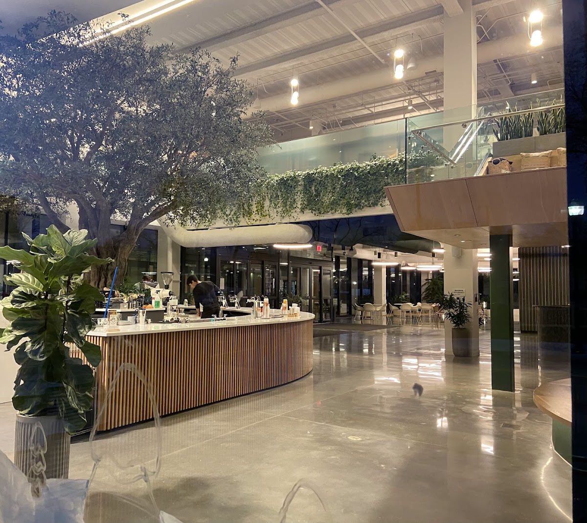 Airship Coffee at The Ledger Interior Photo - Airship Coffee at The Ledger Cafe in Bentonville, AR