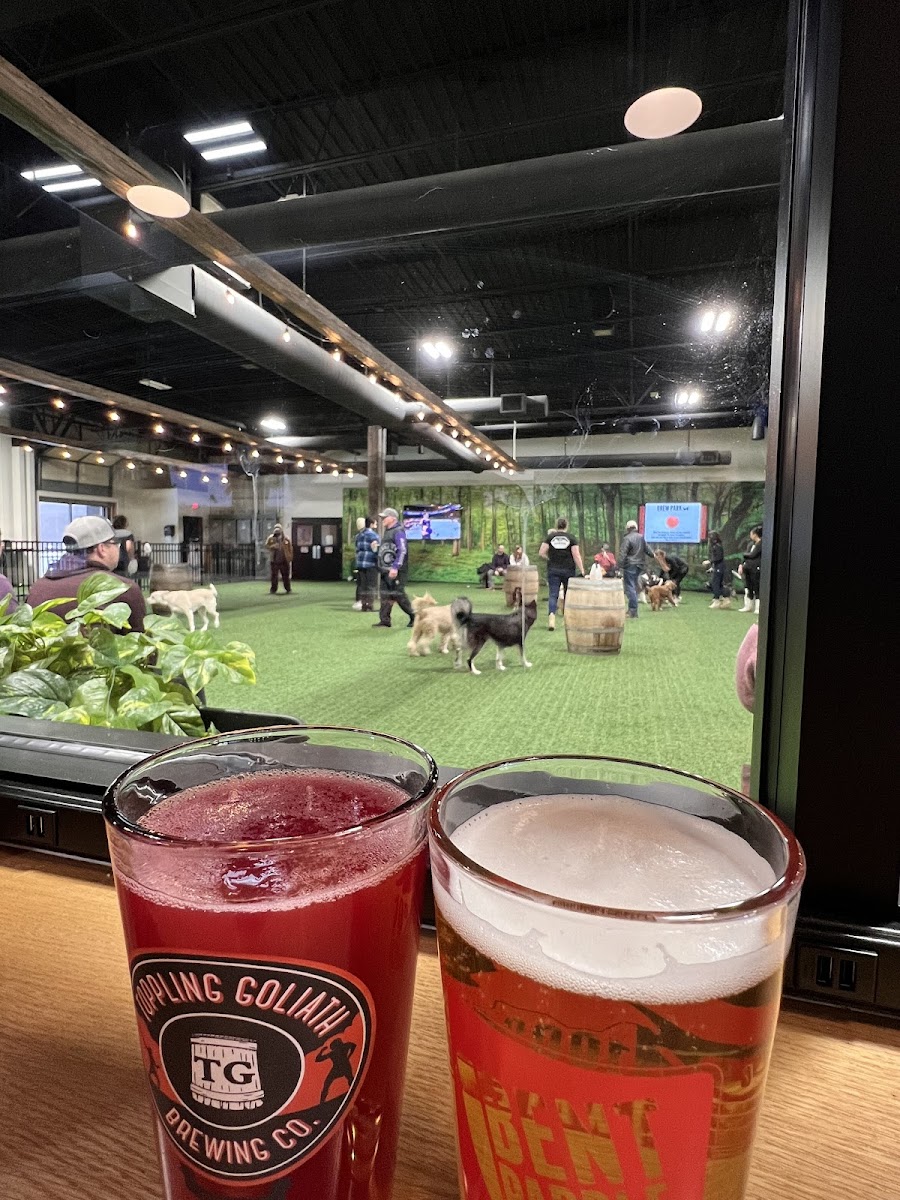 Brew Park Plymouth Drinks Photo - Brew Park Plymouth Bars in Plymouth, MN