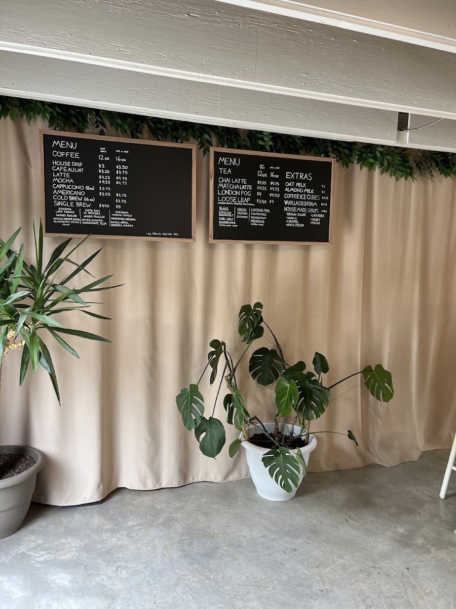 Cafe Lavande Interior Photo - Cafe Lavande Cafe in Fayetteville, AR