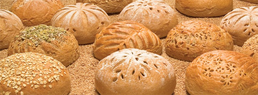 Great Harvest Bread Company NWA Food Photo - Great Harvest Bread Company NWA Cafe in Bentonville, AR