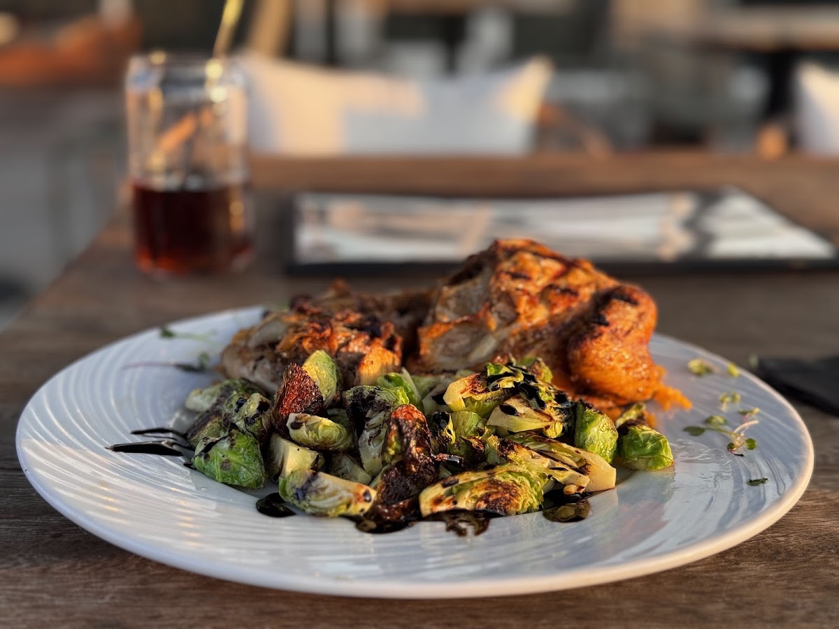 Loma Food Photo - Loma Bars in Rogers, AR