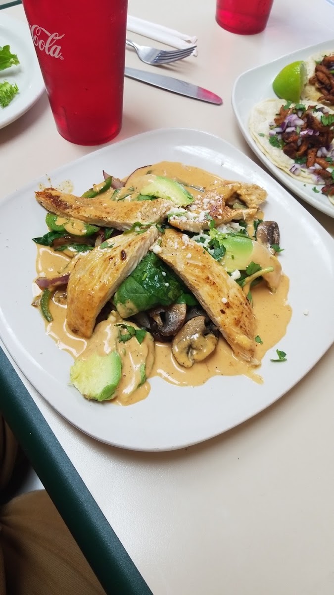 Sonora Café Food Photo - Sonora Café Mexican in Springdale, AR